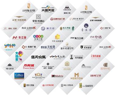 说明: 项目合作图